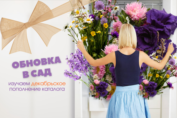 Обновка в сад - изучаем декабрьское пополнение каталога фото Обновка в сад - изучаем декабрьское пополнение каталога фото