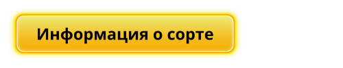 Информация о сорте.png Информация о сорте.png