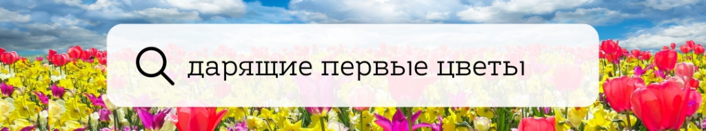 первоцветы.jpg первоцветы.jpg