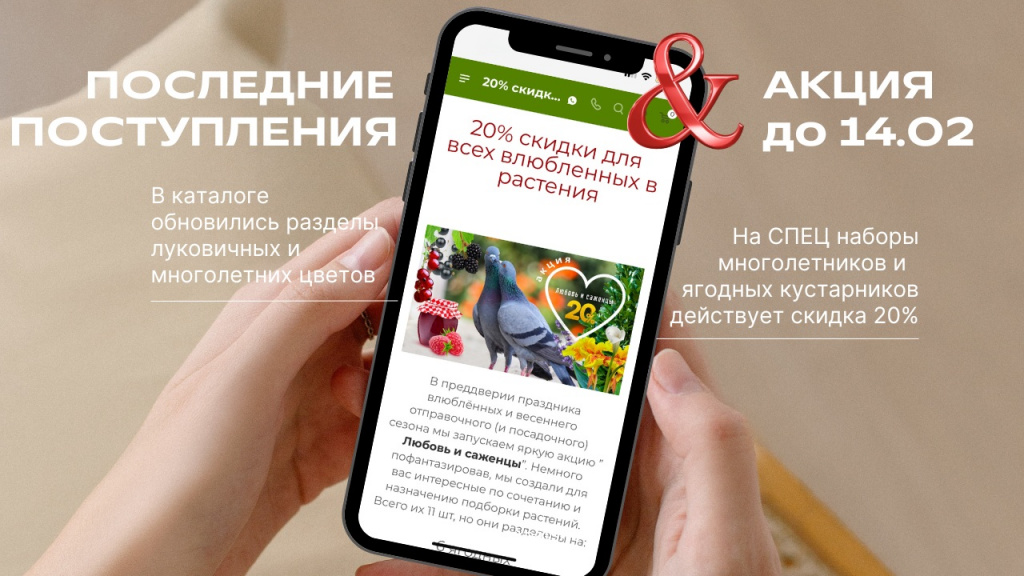 акция и новинки.jpg