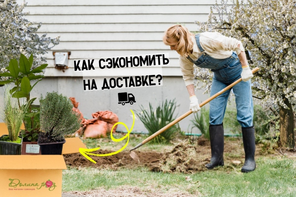 Как СЭКОНОМИТЬ на доставке? фото Как СЭКОНОМИТЬ на доставке? фото