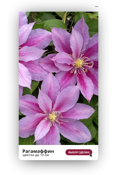 Рагамаффин 400.png