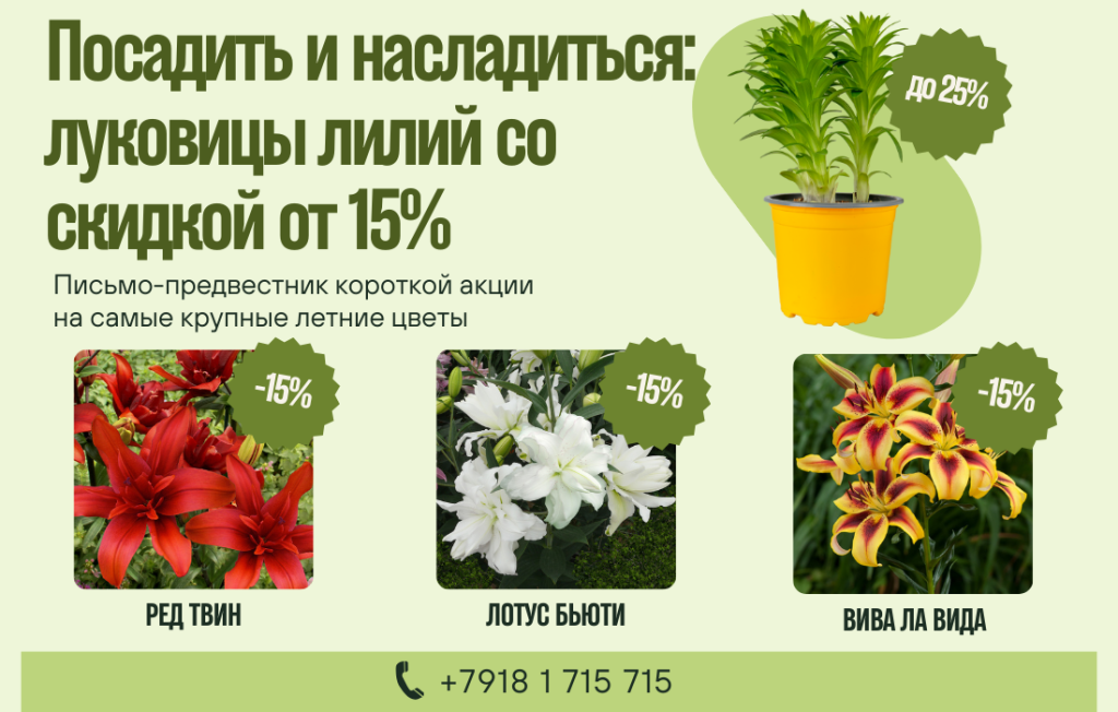 луковицы лилий со скидкой.png луковицы лилий со скидкой.png