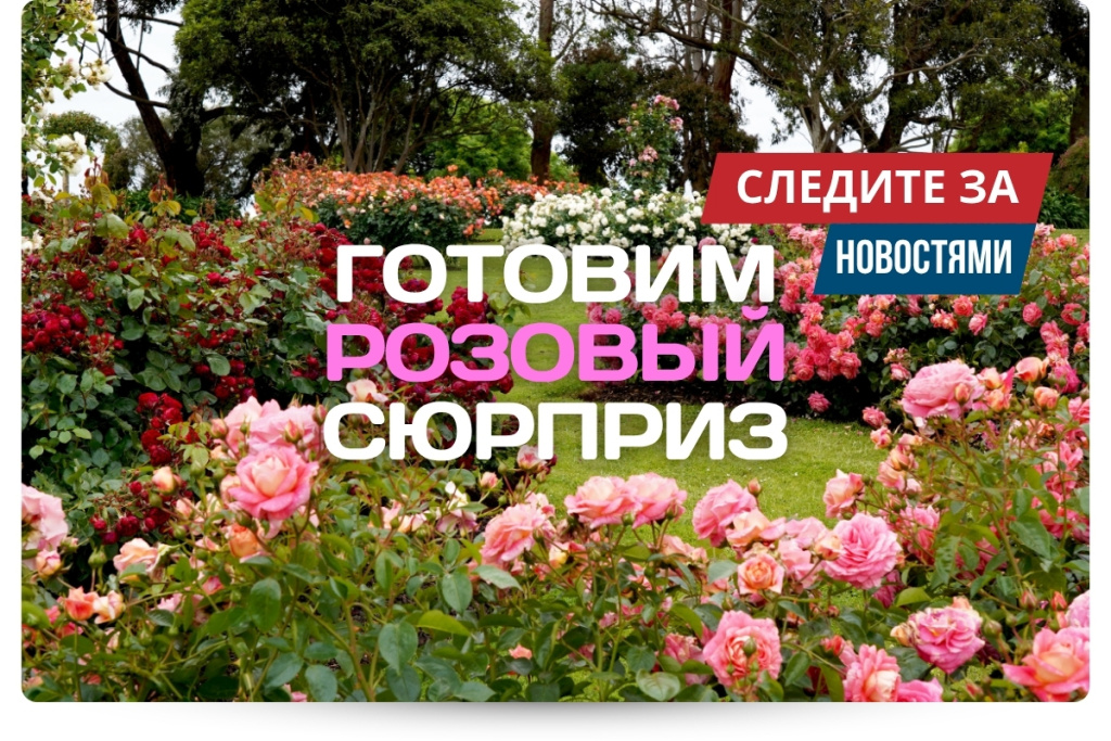 готовим розовый сюрприз.jpg готовим розовый сюрприз.jpg