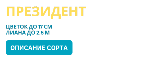 Президент (500 x 200 пикс.).png Президент (500 x 200 пикс.).png