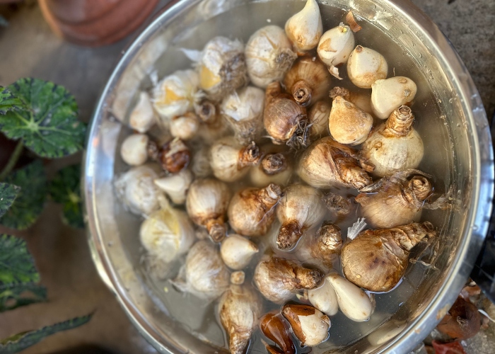 обработка (500 x 700 пикс.) (2).jpg обработка (500 x 700 пикс.) (2).jpg