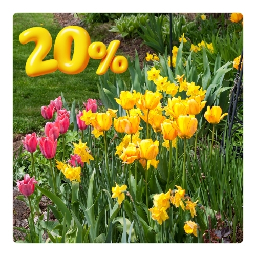 20 скидка (500 x 500 пикс.).jpg