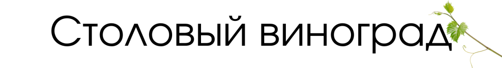 столовый.png столовый.png