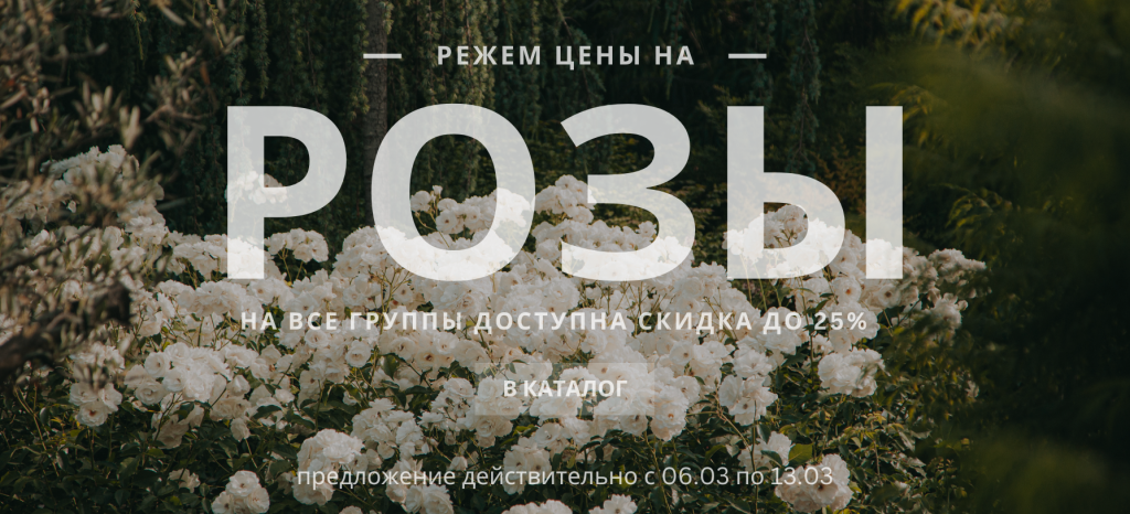 режем цены на розы.png режем цены на розы.png