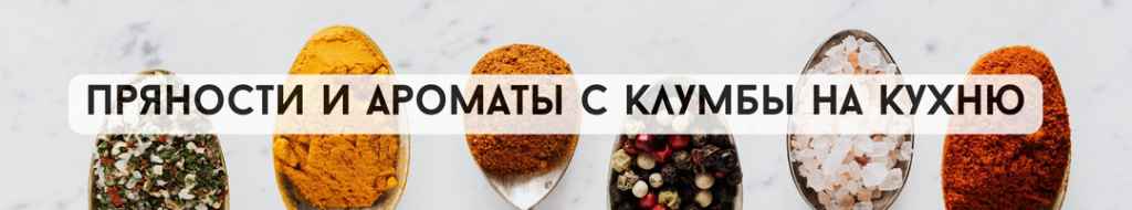 Пряности и ароматы с клумбы на кухню.jpg