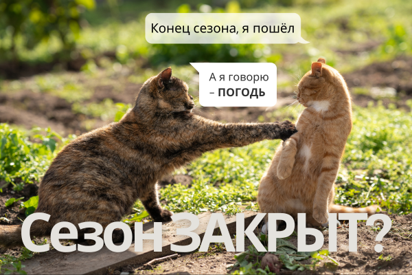 Сезон ЗАКРЫТ? Отвечаем на общий вопрос фото Сезон ЗАКРЫТ? Отвечаем на общий вопрос фото