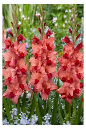 Соул (300 x 450 пикс.).png Соул (300 x 450 пикс.).png