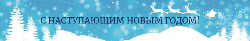 С НАСТУПАЮЩИМ НОВЫМ ГОДОМ! (1200 x 200 пикс.).jpg