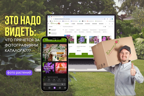 Это надо видеть: что прячется за фотографиями каталога фото Это надо видеть: что прячется за фотографиями каталога фото