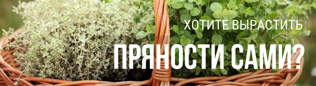 Пряности.png Пряности.png