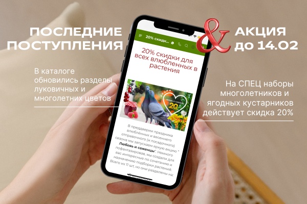 Долгоцветущие, ароматные, многоцветные, махровые - наши новые НОВИНКИ фото Долгоцветущие, ароматные, многоцветные, махровые - наши новые НОВИНКИ фото