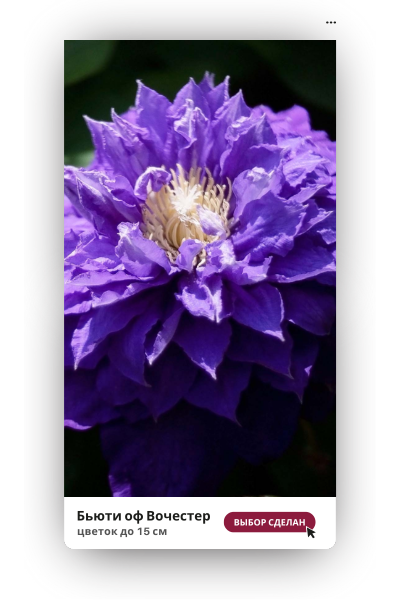 Бьюти оф Вочестер 400.png