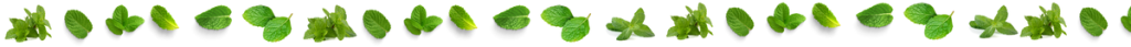 мята (1).png мята (1).png